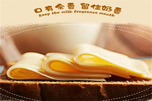 恩泽宝芝士分子