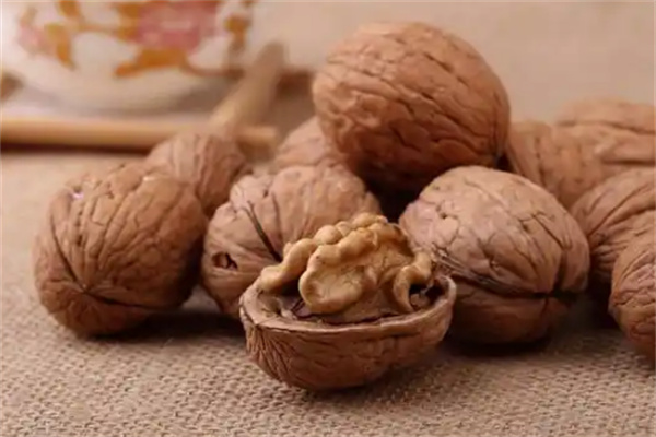 麦迪熊坚果