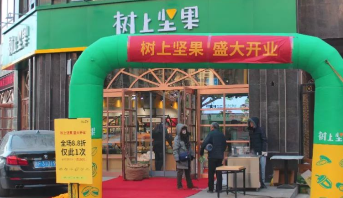 树上坚果
