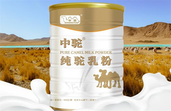 中驼骆驼奶