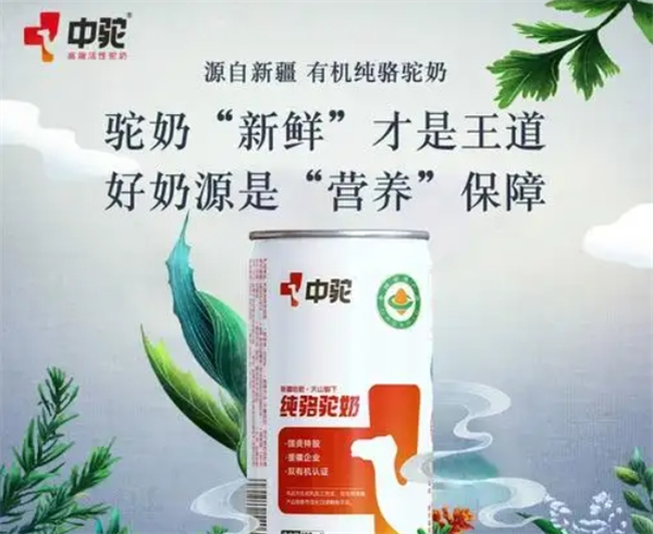 加盟中驼骆驼奶粉怎么样？值得尝试的创业选择吗？