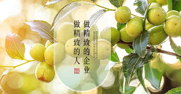 枣粮先生