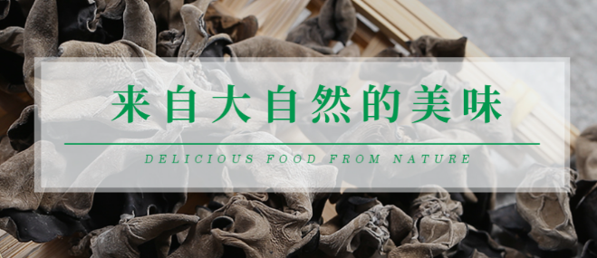 辛亮菌业