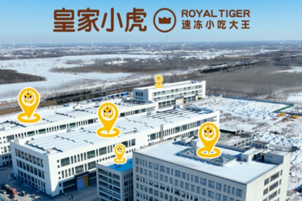 皇家小虎