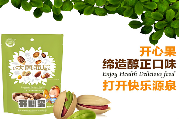 大唐西域休闲食品