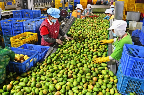 汇林食品