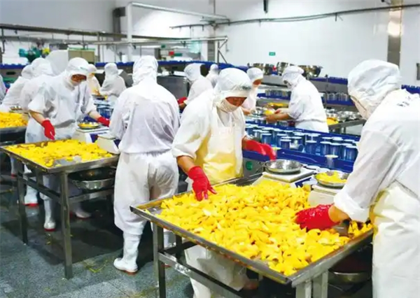 汇林食品