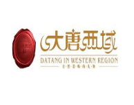 大唐西域休闲食品