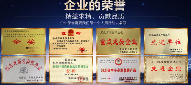 尚禾谷板栗