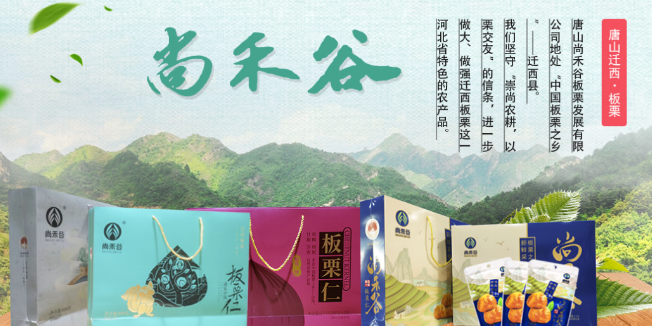 尚禾谷板栗
