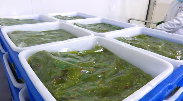 青正食品