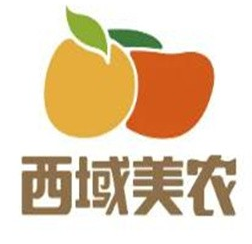 西域美农红枣