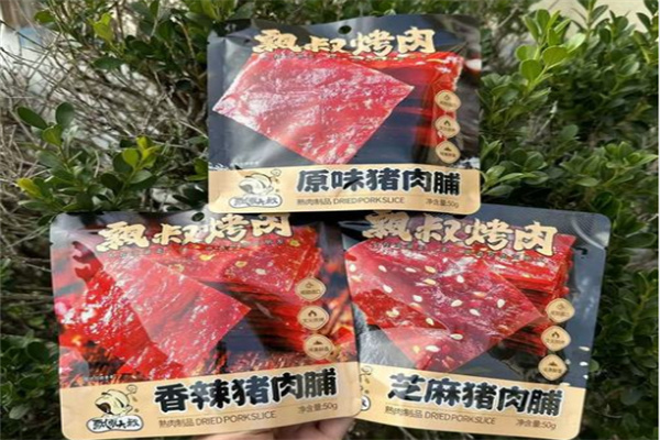 飘零大叔猪肉脯