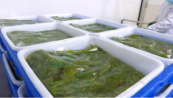 青正食品