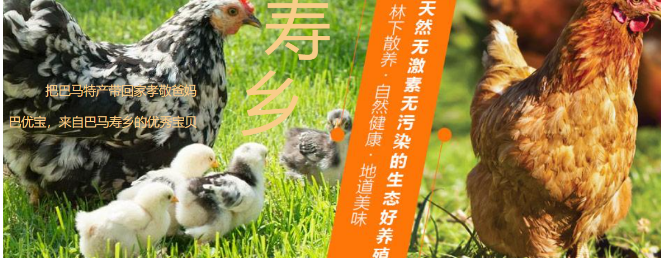 巴优宝食品
