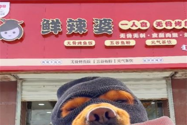 鲜辣婆无骨烤鱼饭