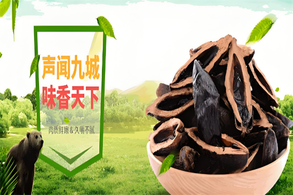 九闻槟榔
