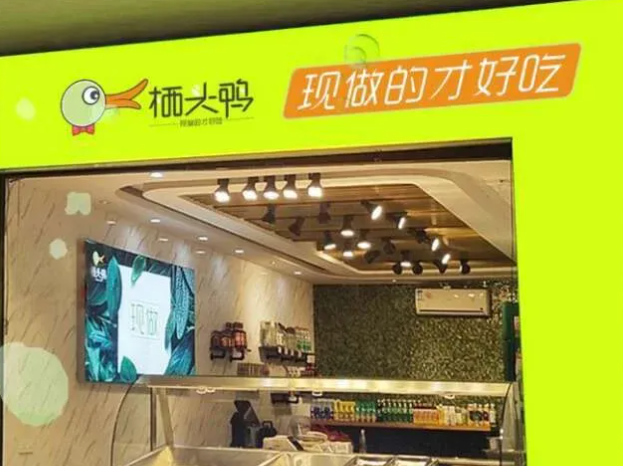 栖头鸭