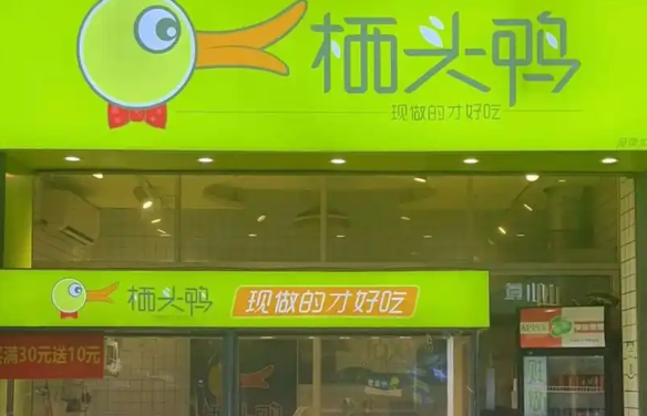 栖头鸭