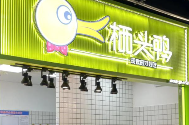 栖头鸭