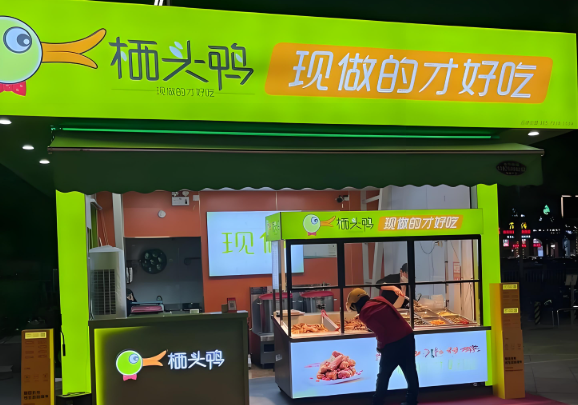 栖头鸭