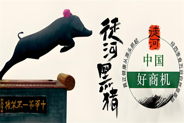 徒河黑猪肉加盟店多吗?总部保你经营无忧