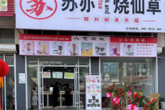 苏亦烧仙草