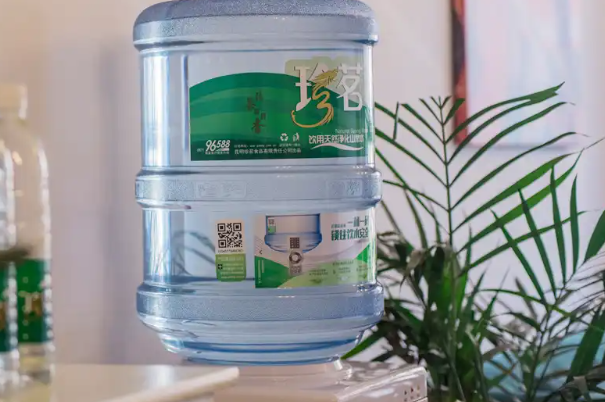 珍茗水