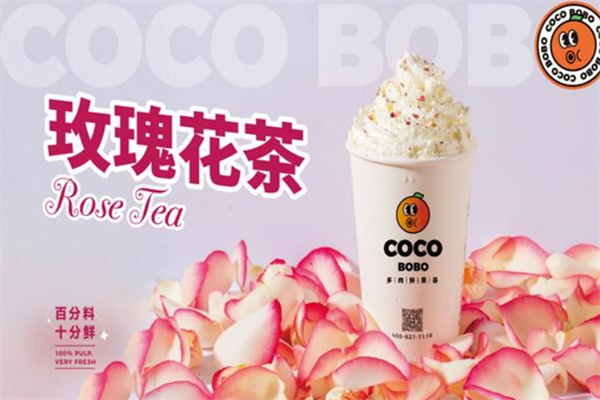 coco bobo多肉鲜果茶