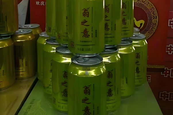 翁之意