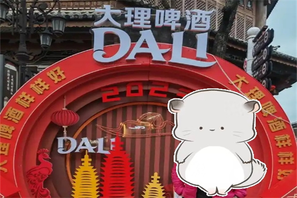 大理啤酒