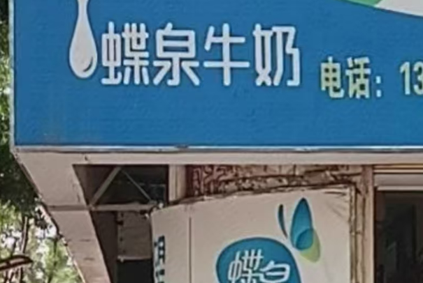 蝶泉牛奶