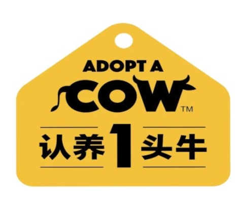 认养一头牛酸奶