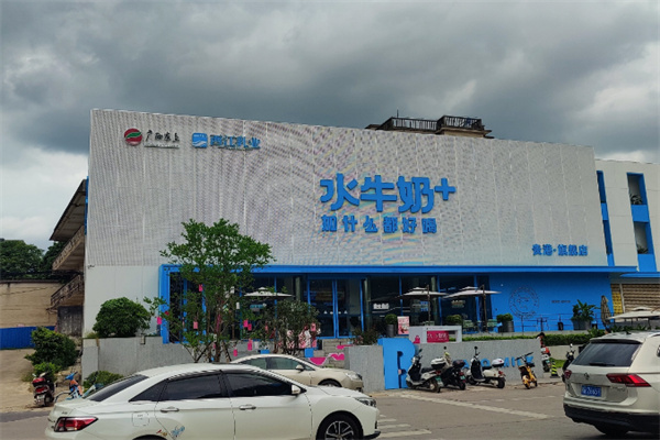 西江牛奶