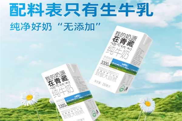 小西牛纯牛奶