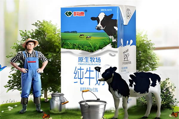 科迪牛奶
