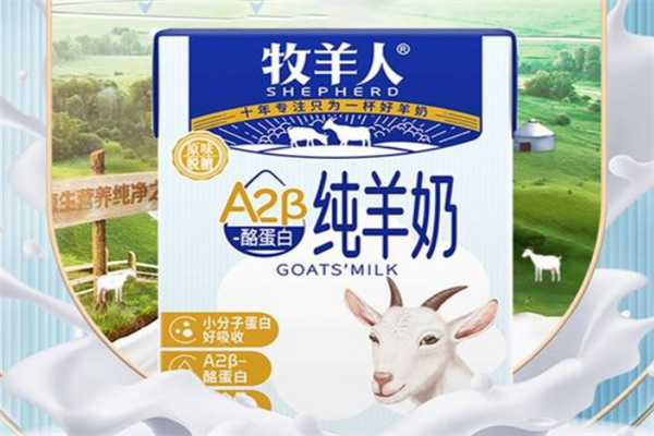 牧羊人羊奶