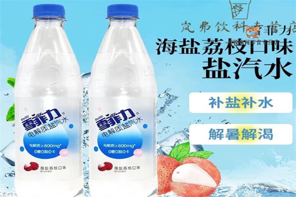 雪菲力盐汽水