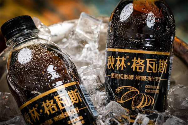 格瓦斯饮料