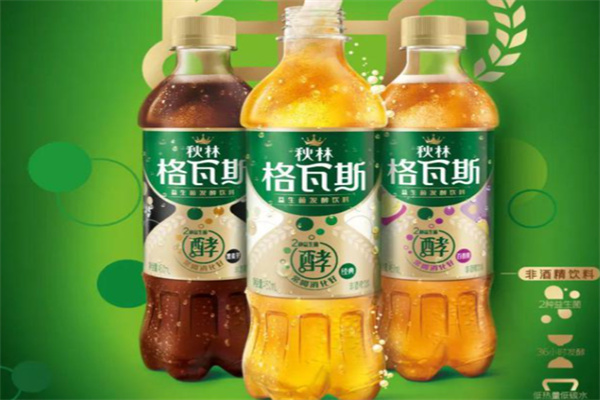 格瓦斯饮料