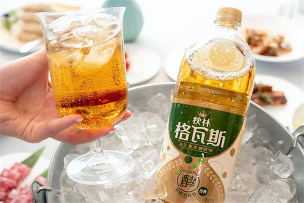 格瓦斯饮料