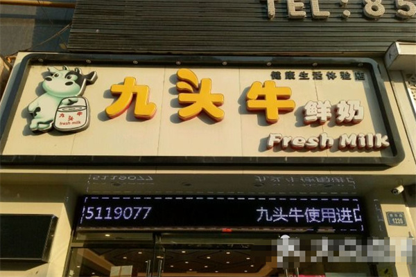 九头牛鲜奶
