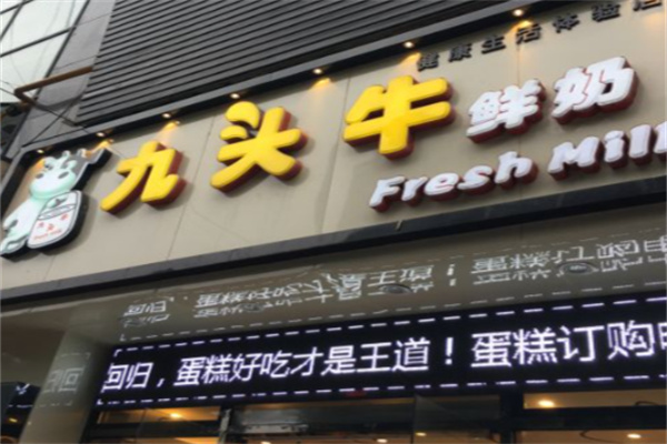 九头牛鲜奶