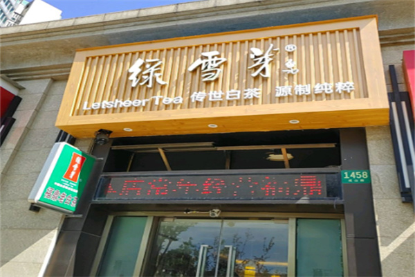 福鼎白茶绿雪芽