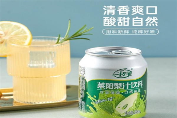 一枝笔莱阳梨汁