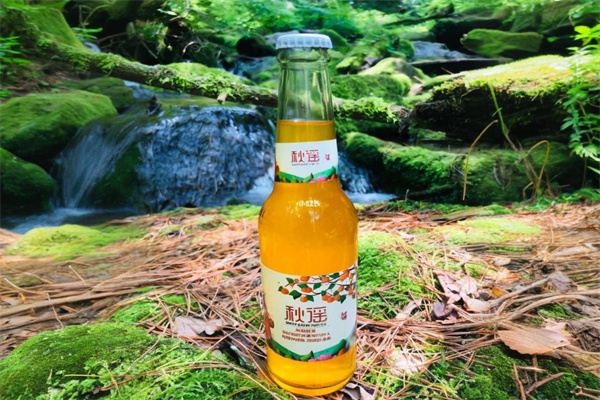 秋谣汽水