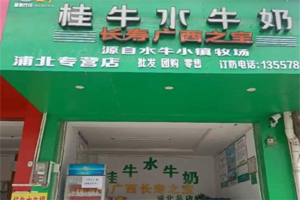 桂牛水牛奶