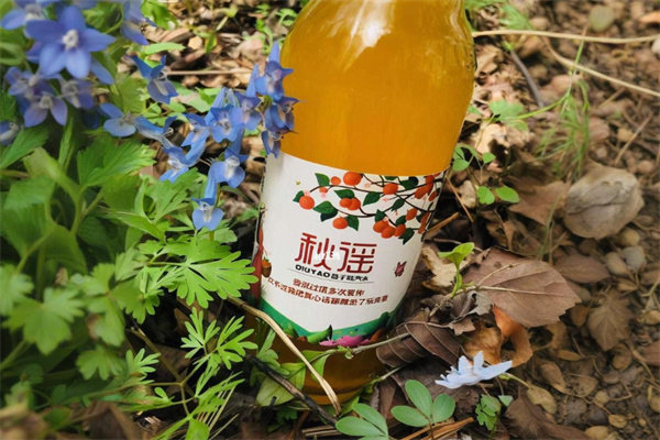 秋谣汽水