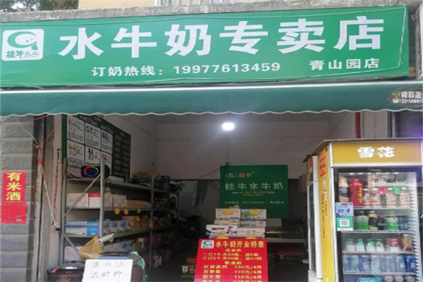 桂牛水牛奶
