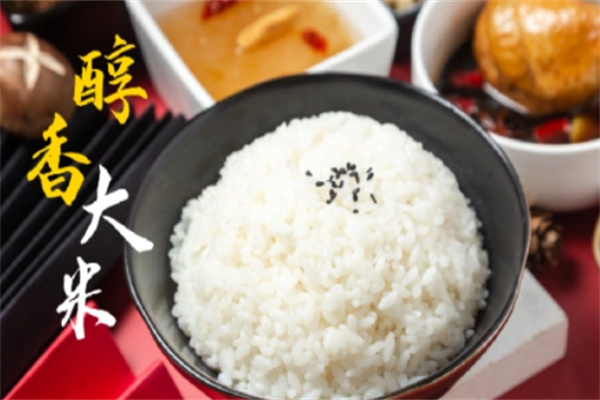 柒仙菇肉臊饭
